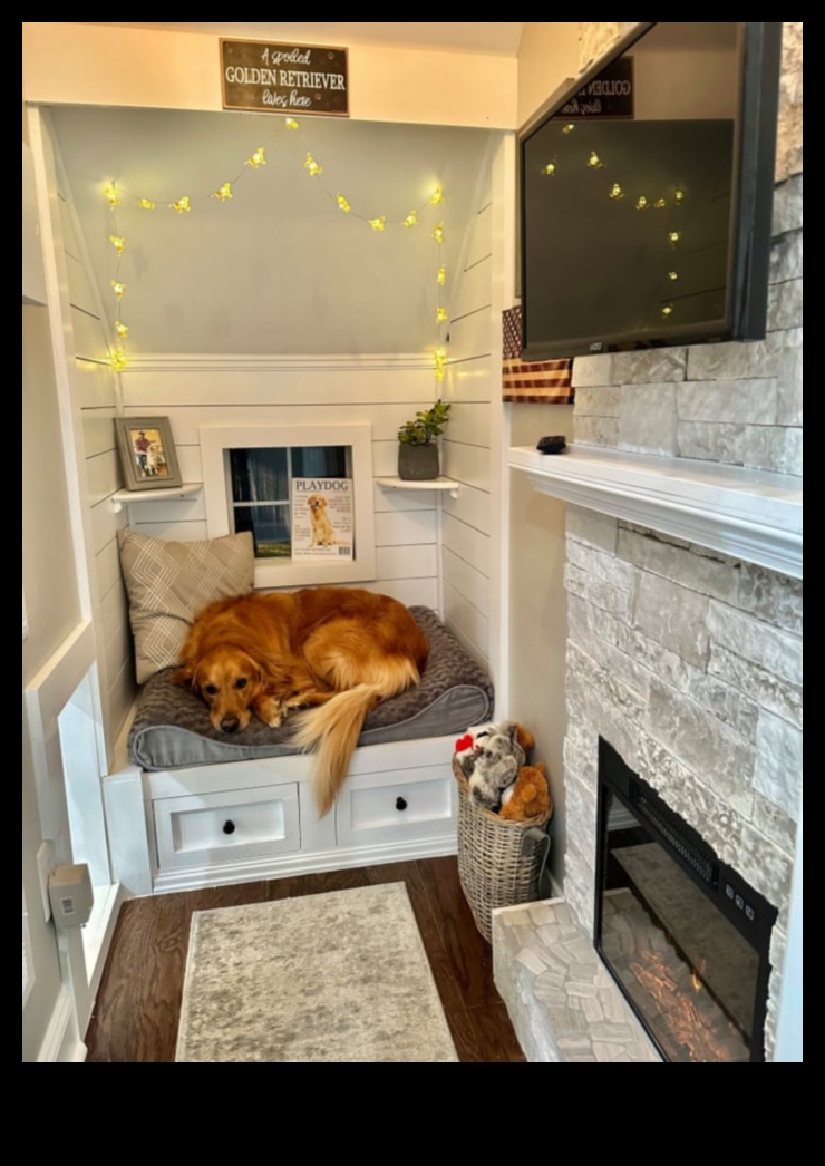 Barkitecture 101: Creating a Dog-Friendly Home