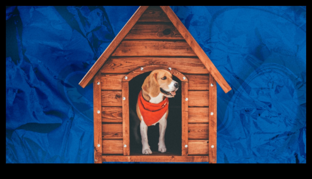Barkitecture 101: Creating a Dog-Friendly Home