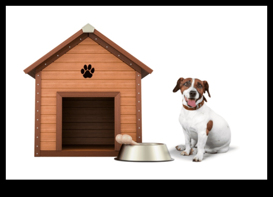 Barkitecture Blueprint: Designing the Perfect Dog-Friendly Space