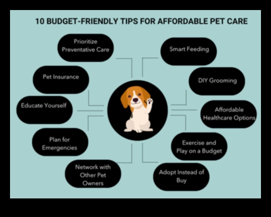 Barkonomics Budget-Friendly Tips for Dog Ownership 1