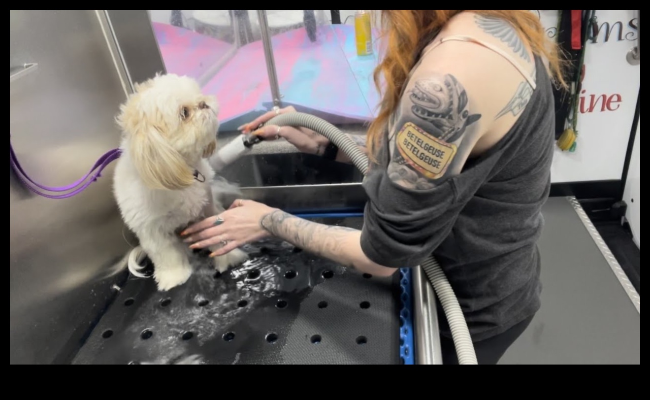 Bathing Beauties: Tips for Grooming Small Pets