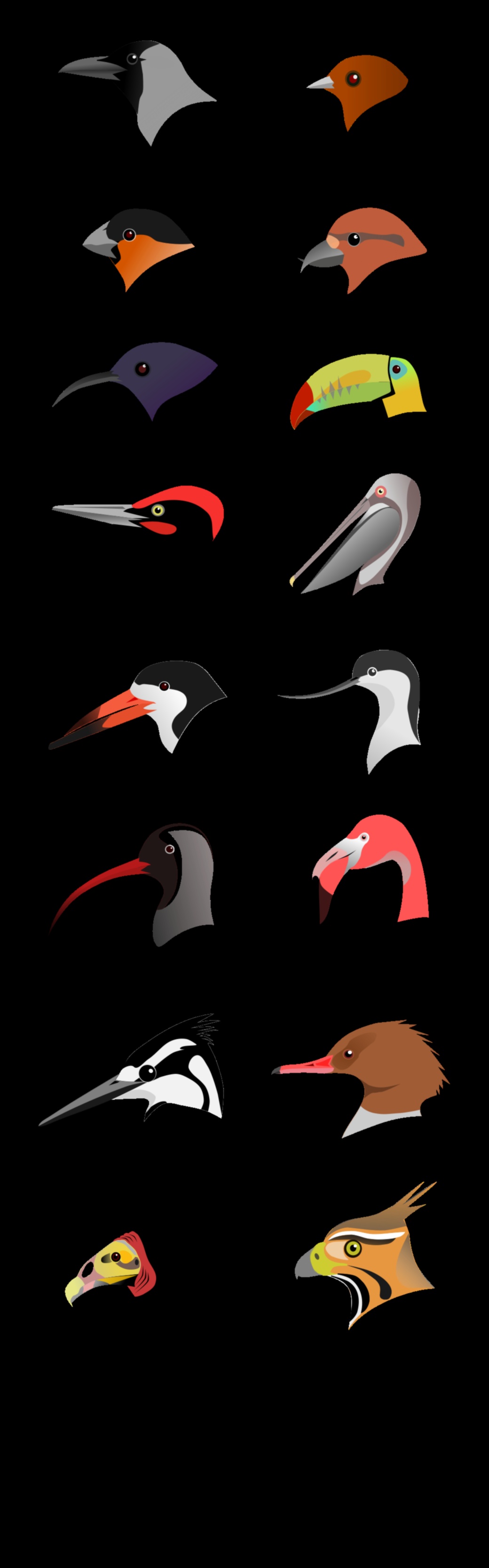 Beakonomics 3.0: Evolutionary Adaptations Across Bird Species