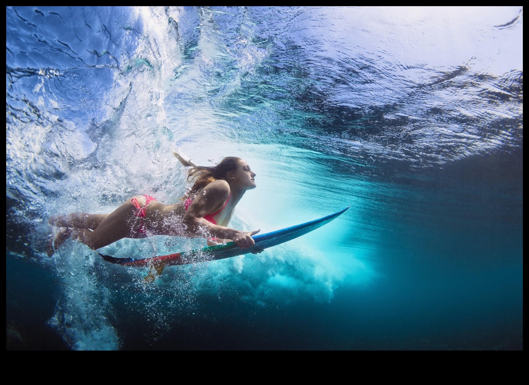 Beneath the Surface: The Beauty of Underwater Photography