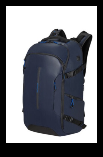 Beyond Backpacks: A Traveler's Guide to Sumptuous Ventures