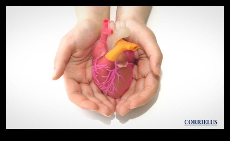 Beyond Cardio A Holistic Approach to Heart Health 1