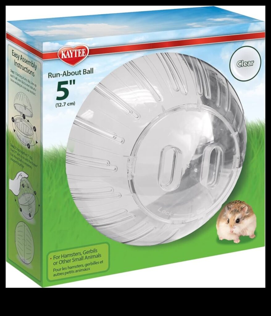 Beyond the Ball Alternate Exercise Options for Hamsters 1