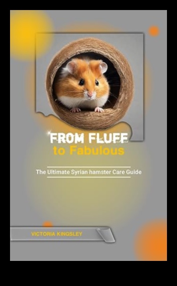 Beyond the Basics: Advanced Tips for Hamster Care Enthusiasts