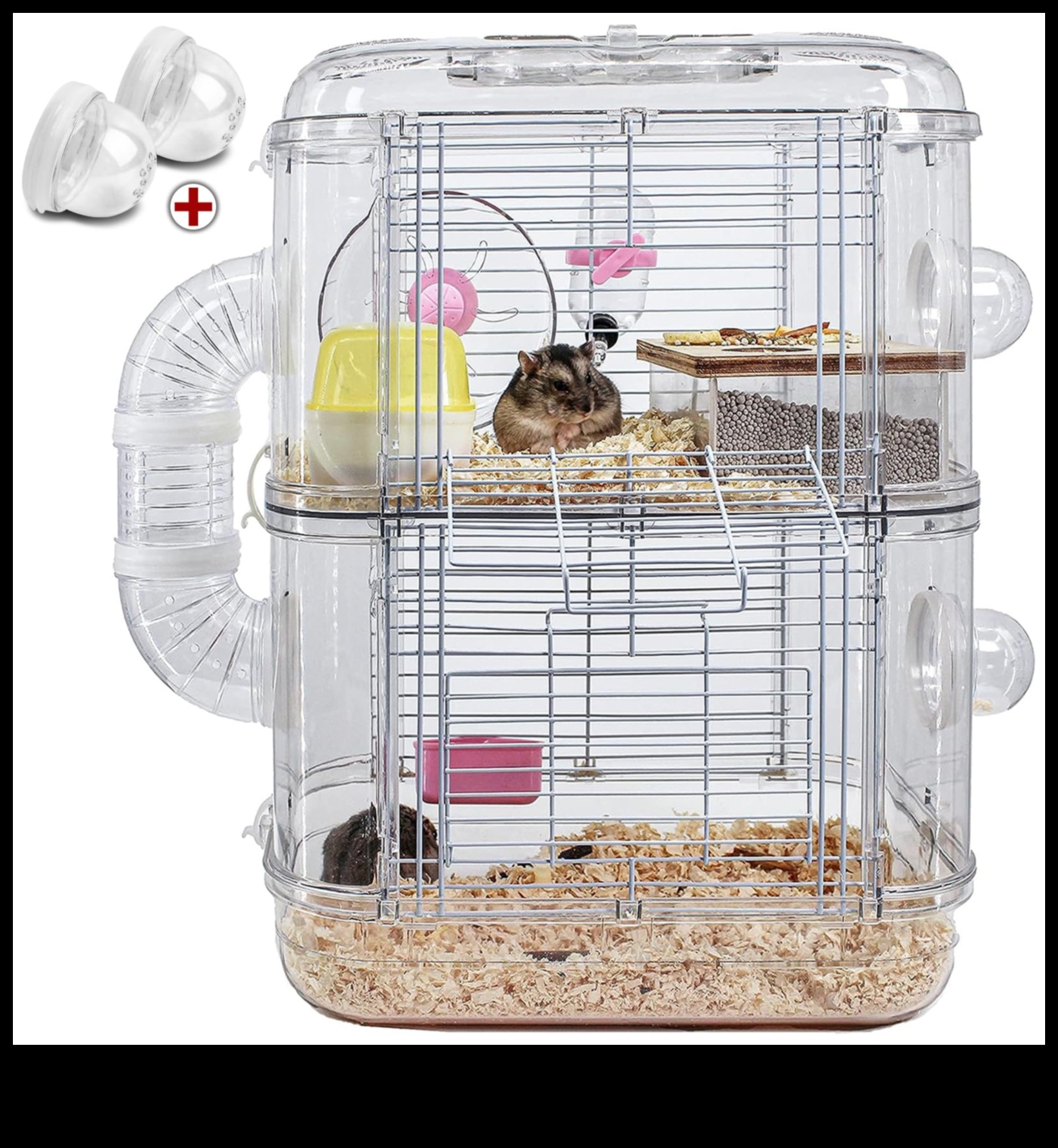 Beyond the Cage: Outdoor Adventures for Hamster Exploration