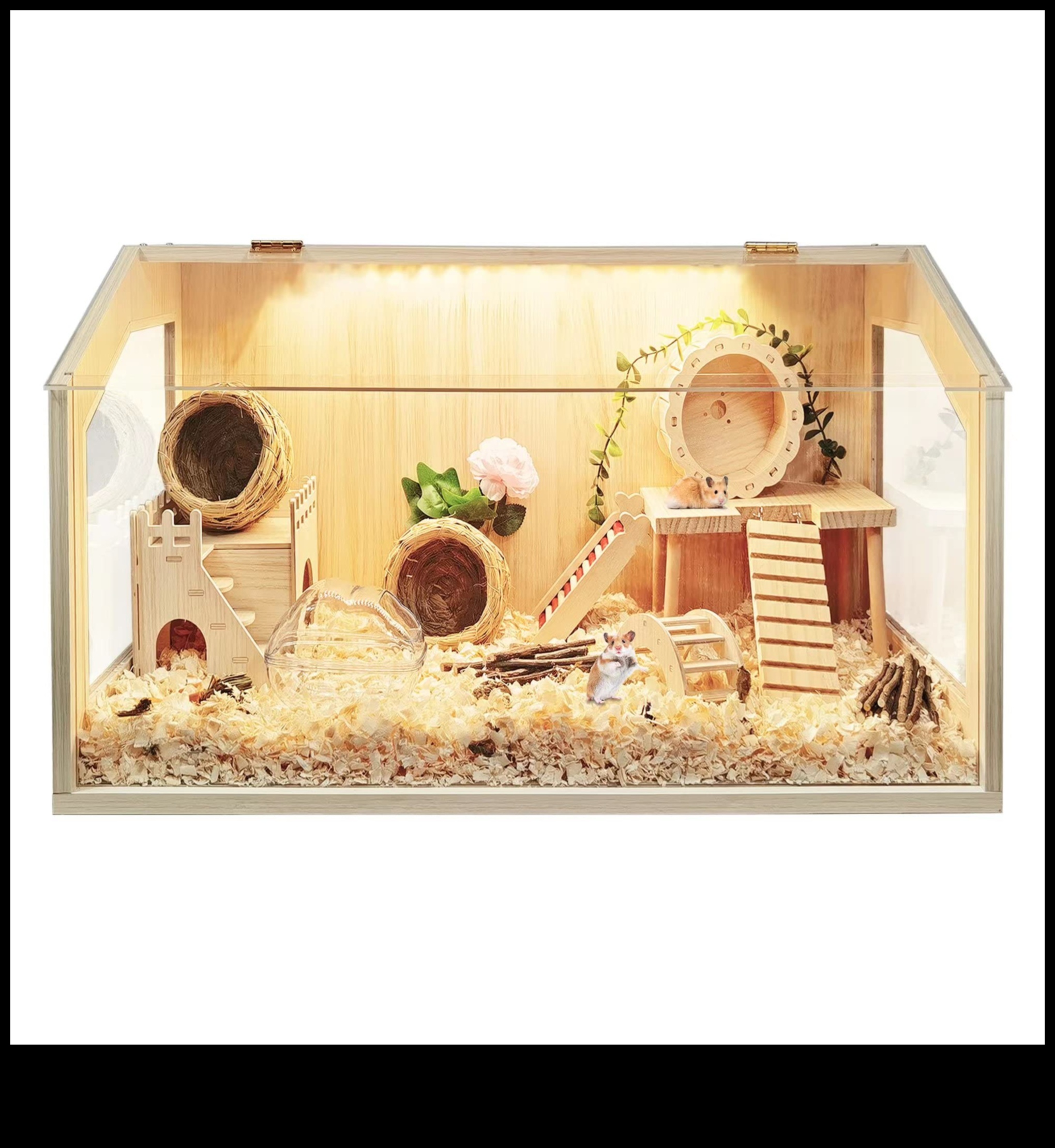 Beyond the Cage: Outdoor Adventures for Hamster Exploration