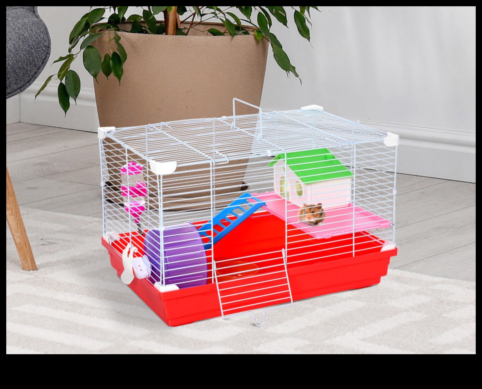Beyond the Cage: Outdoor Adventures for Hamster Exploration