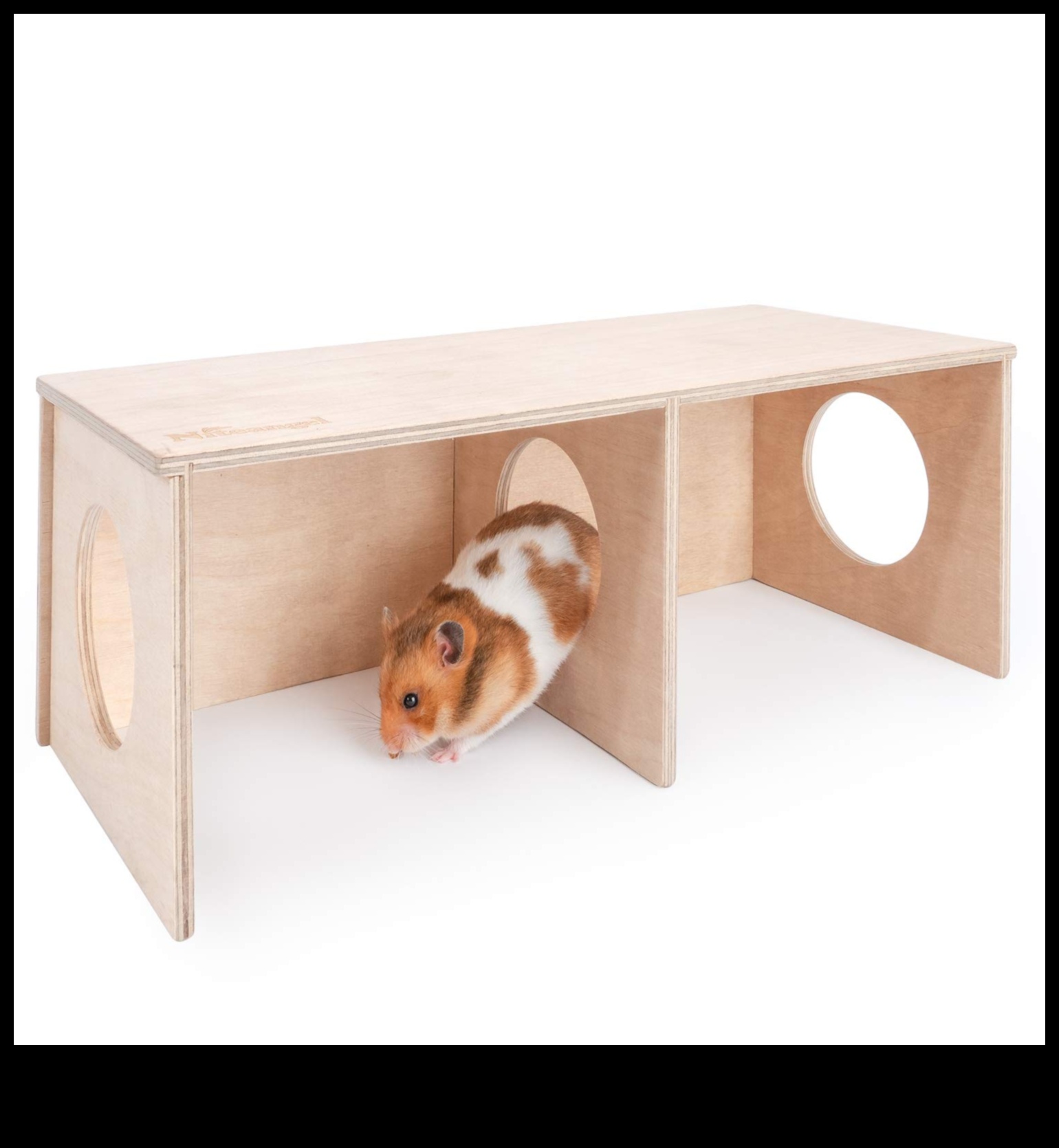 Beyond the Cage: Outdoor Adventures for Hamster Exploration