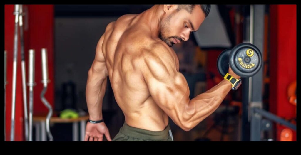 Bicep Blaze A Comprehensive Guide to Building Strong, Toned Arms 1