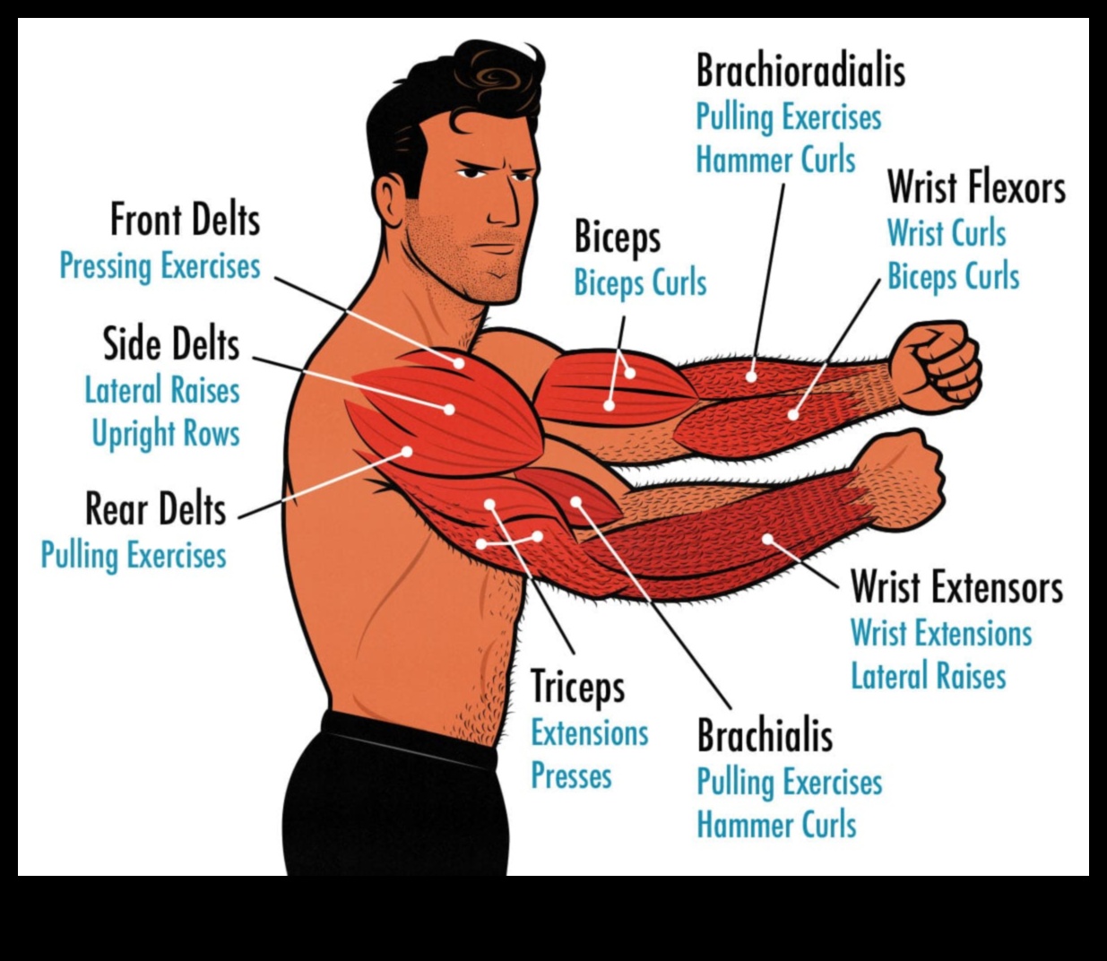 Bicep Blaze: Igniting Strength with Effective Arm Workouts