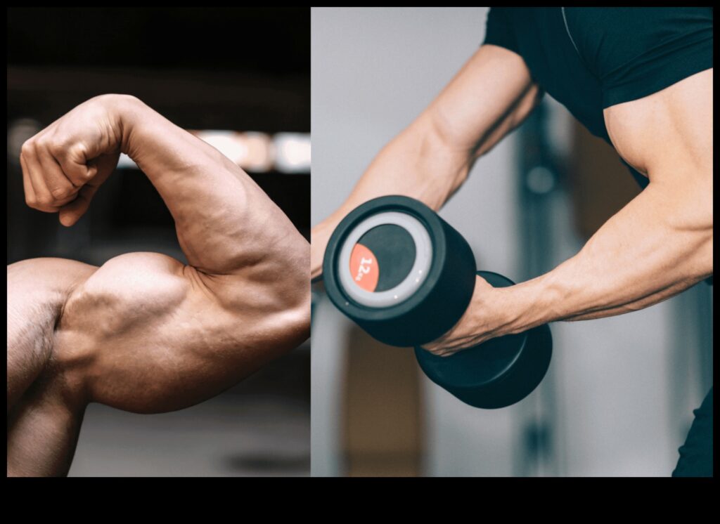 Bicep Bliss Sculpt Your Arms with These 7 Targeted Workouts 1