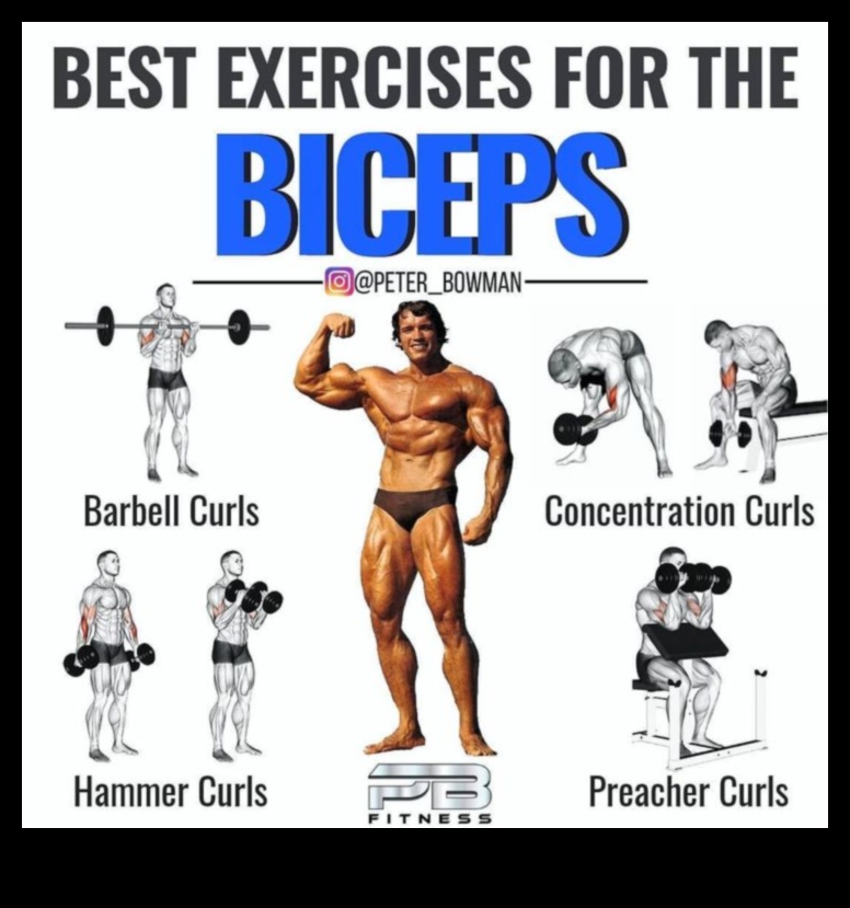 Bicep Blueprint A Precision Workout Plan to Build Strong, Sculpted Arms 3 Bicep Blueprint: Building Strength through Precision Workouts