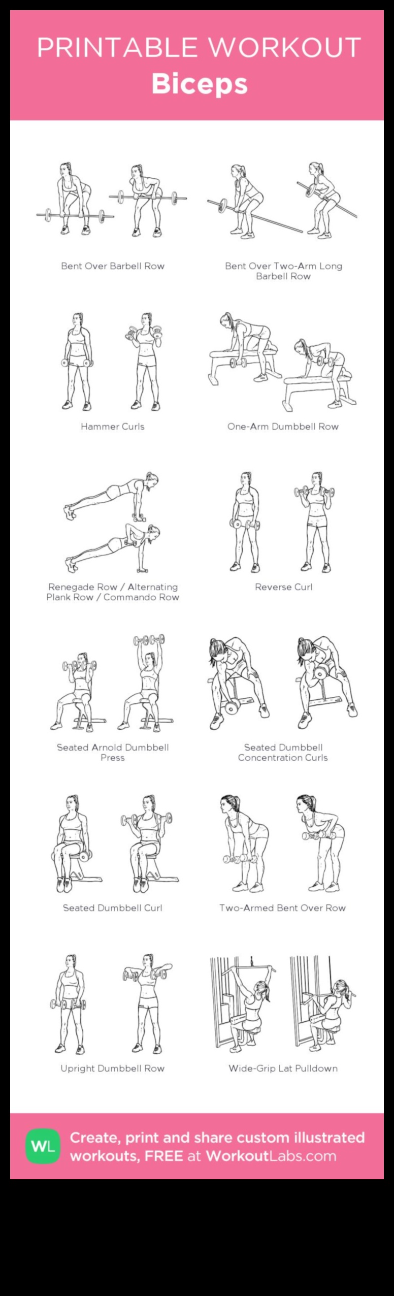 Bicep Blueprint A Precision Workout Plan to Build Strong, Sculpted Arms 5 Bicep Blueprint: Building Strength through Precision Workouts