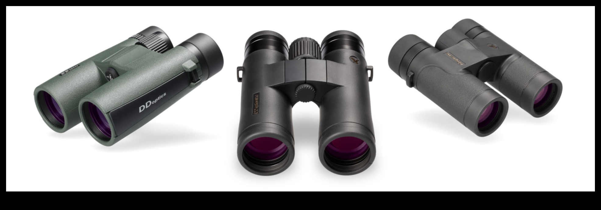 Binocular Basics: Choosing the Right Optics for Bird Watching