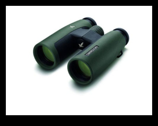 Binocular Basics: Choosing the Right Optics for Bird Watching