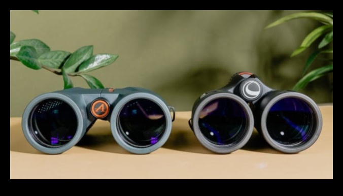 Binocular Basics: Choosing the Right Optics for Bird Watching