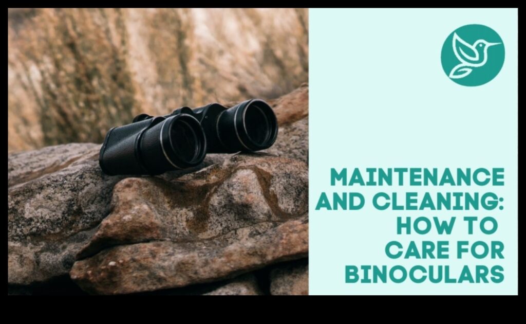 Binoculars Maintenance Tips for Keeping Your Optics in Top Shape 1