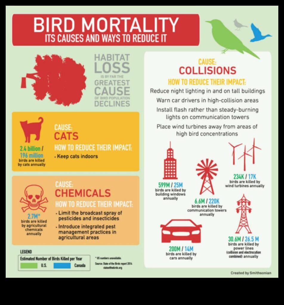 Bird Conservation Chronicles Efforts to Protect Endangered Species 1