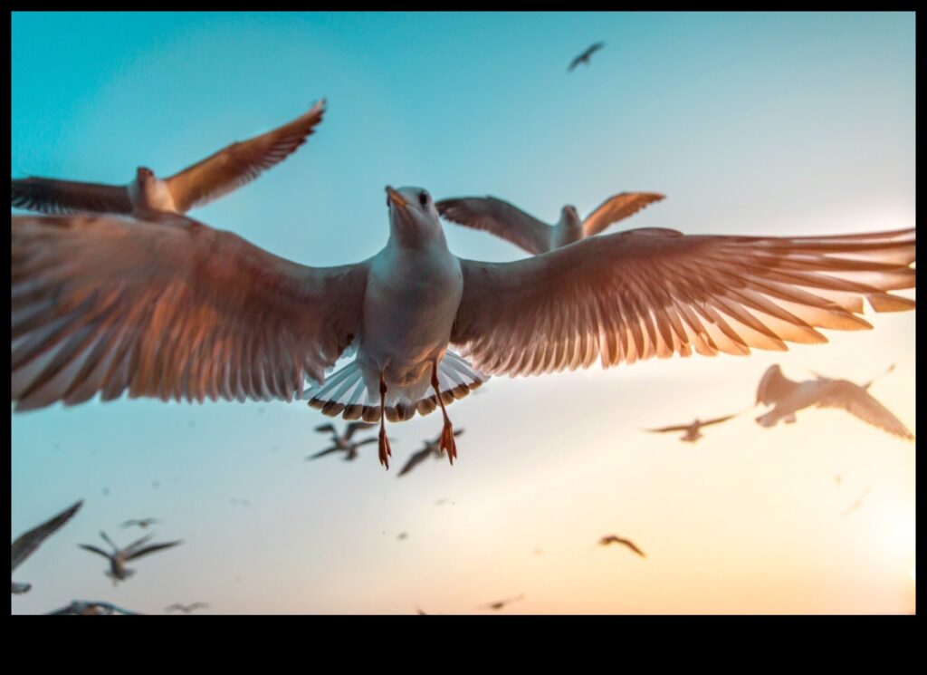 Bird Photography 101 Tips for Capturing Stunning Bird Images 1