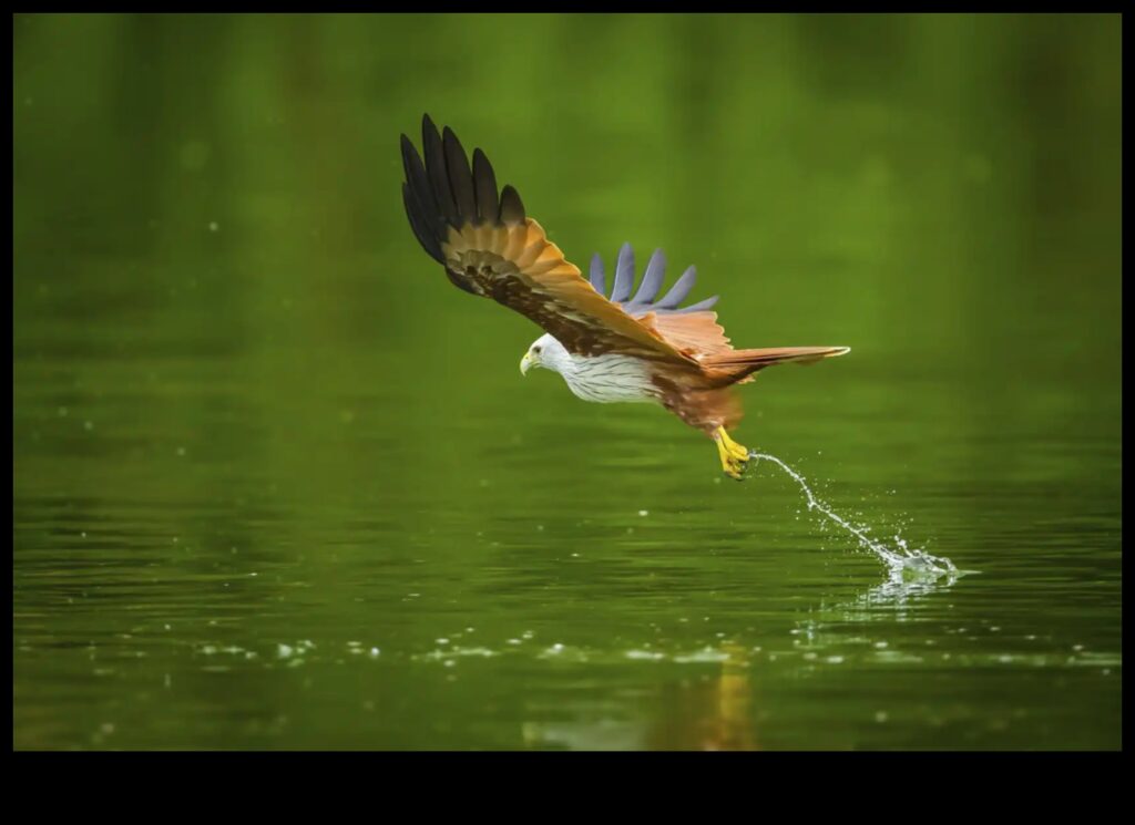 Bird Photography Mastery Advanced Techniques for Stunning Shots 1