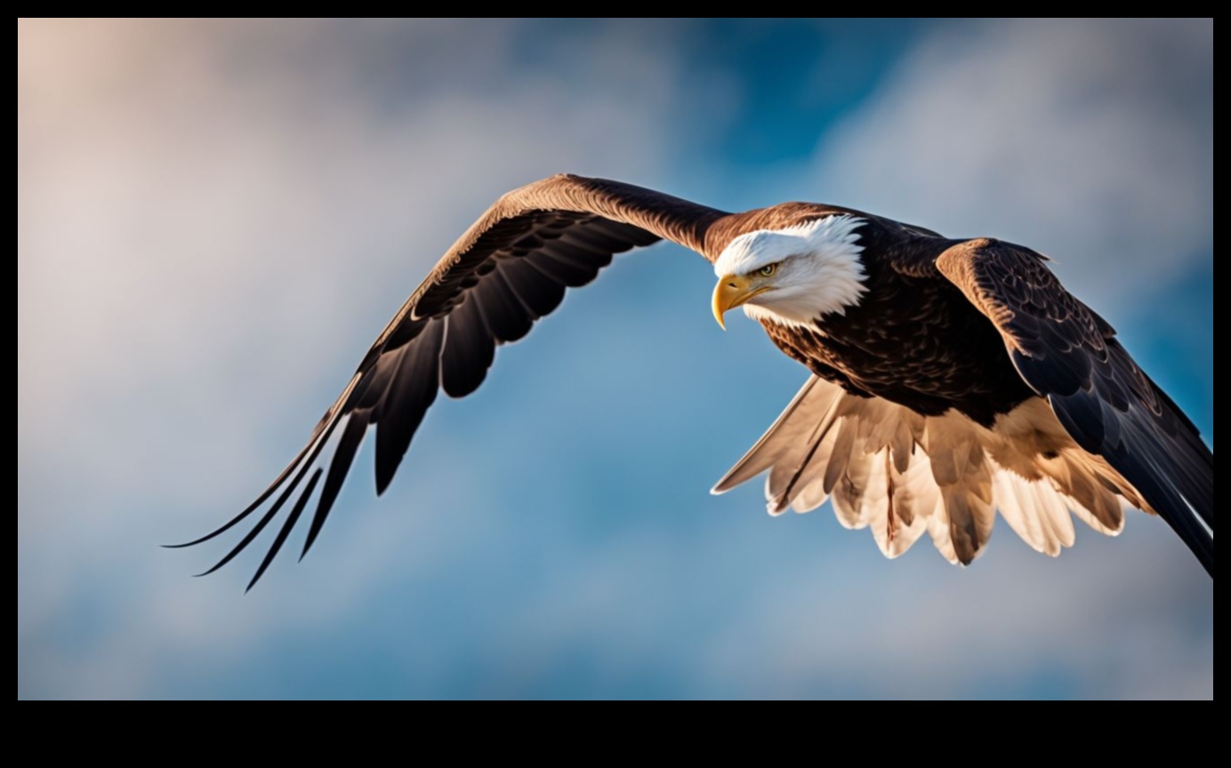 Bird Watching Etiquette: Respecting Nature and Wildlife