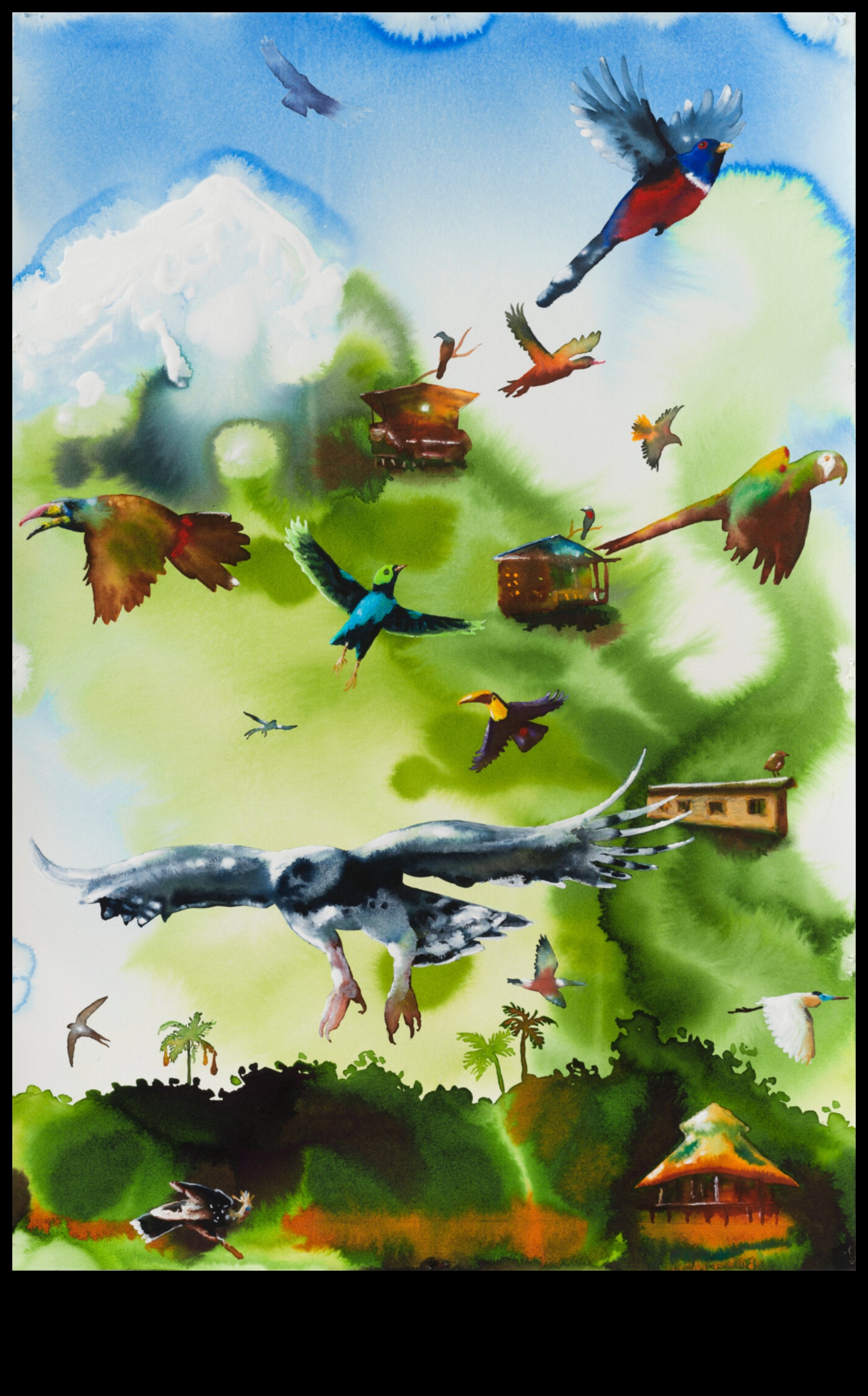 Birder's Bucket List: Must-See Birds Around the World