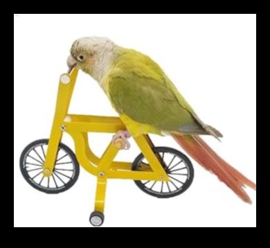 Birdie Brain Games: Challenging Pet Birds with Puzzle Toys