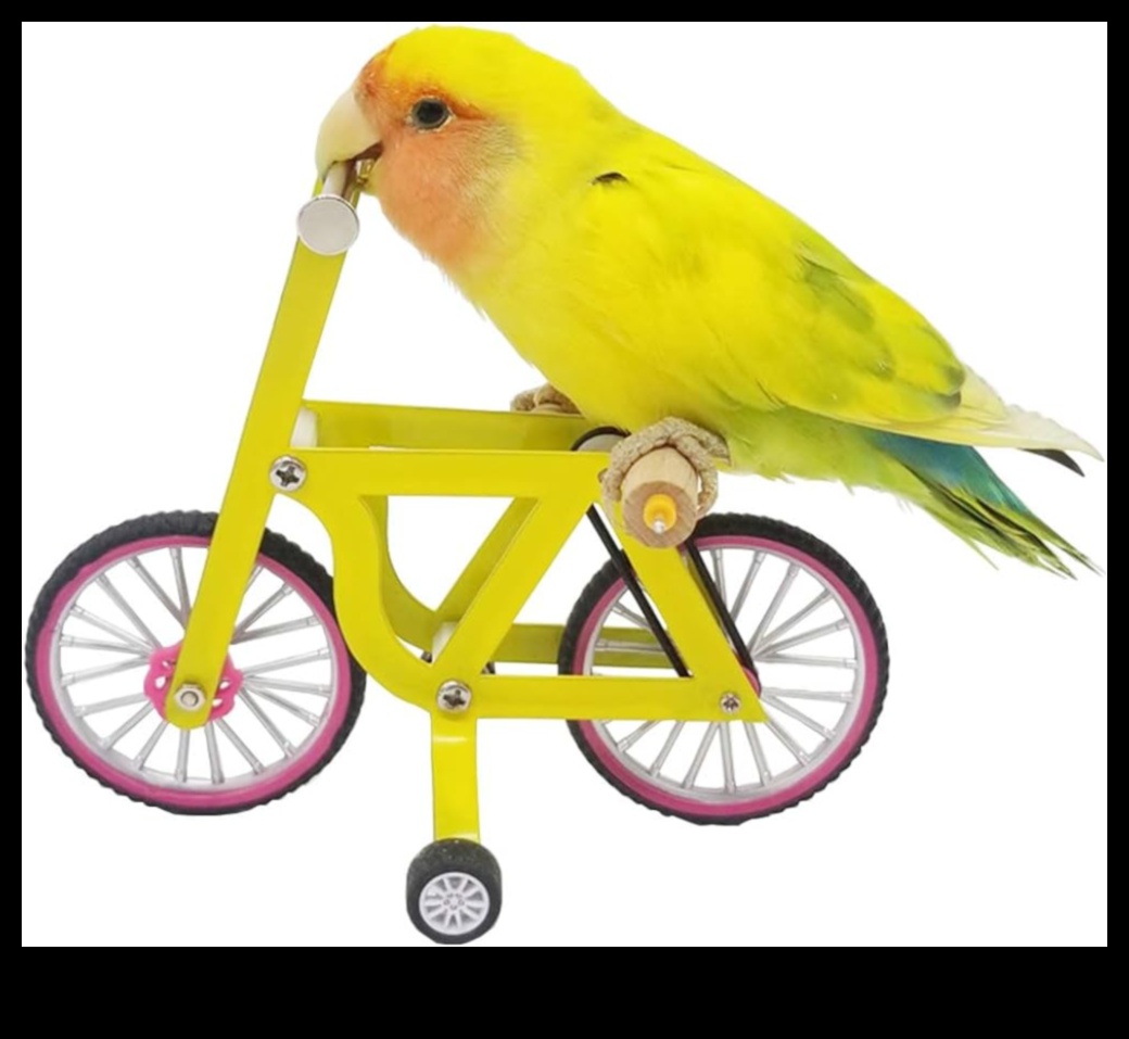 Birdie Brain Games: Challenging Pet Birds with Puzzle Toys