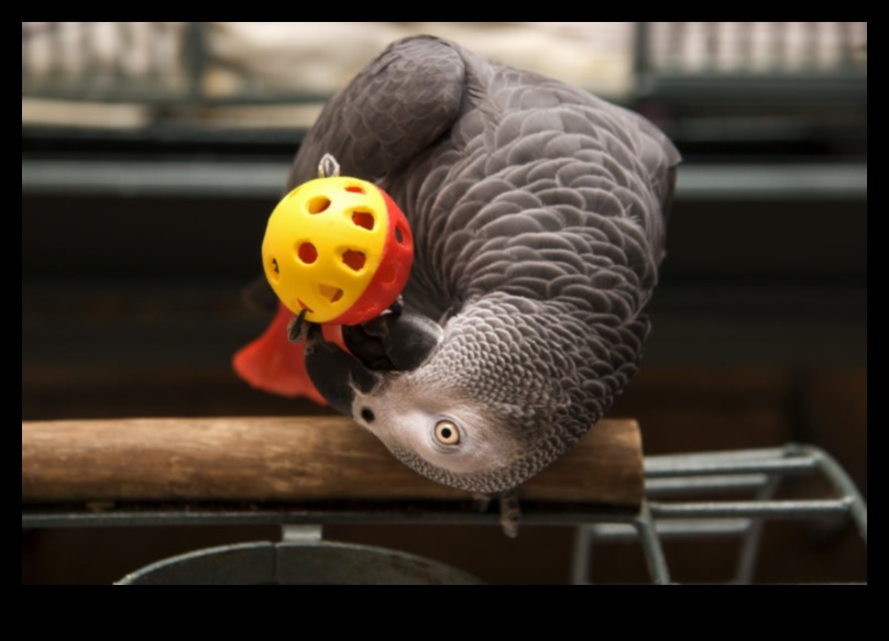 Birdie Brain Games: Challenging Pet Birds with Puzzle Toys