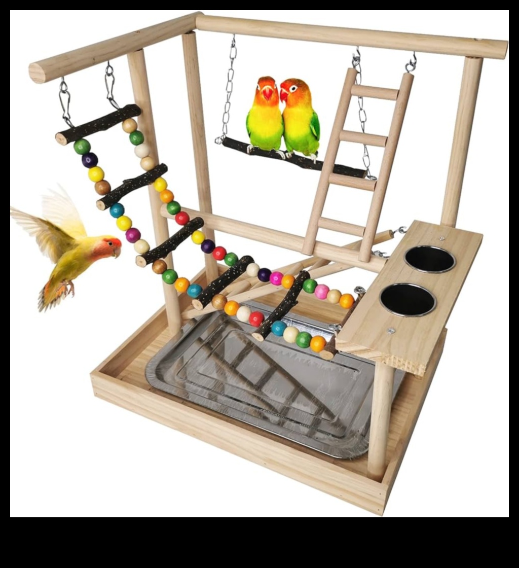 Birdie Brain Games: Challenging Pet Birds with Puzzle Toys