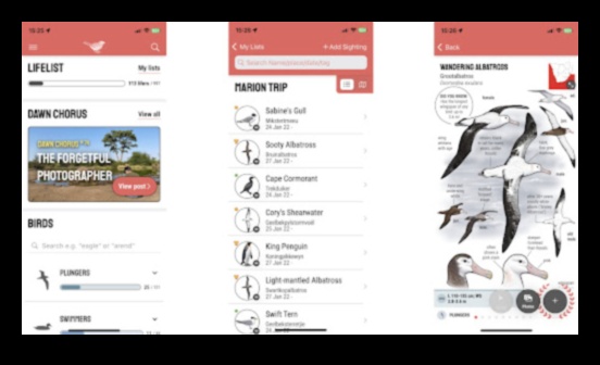 Birding Apps Continued: Maximizing Your Bird Watching Experience