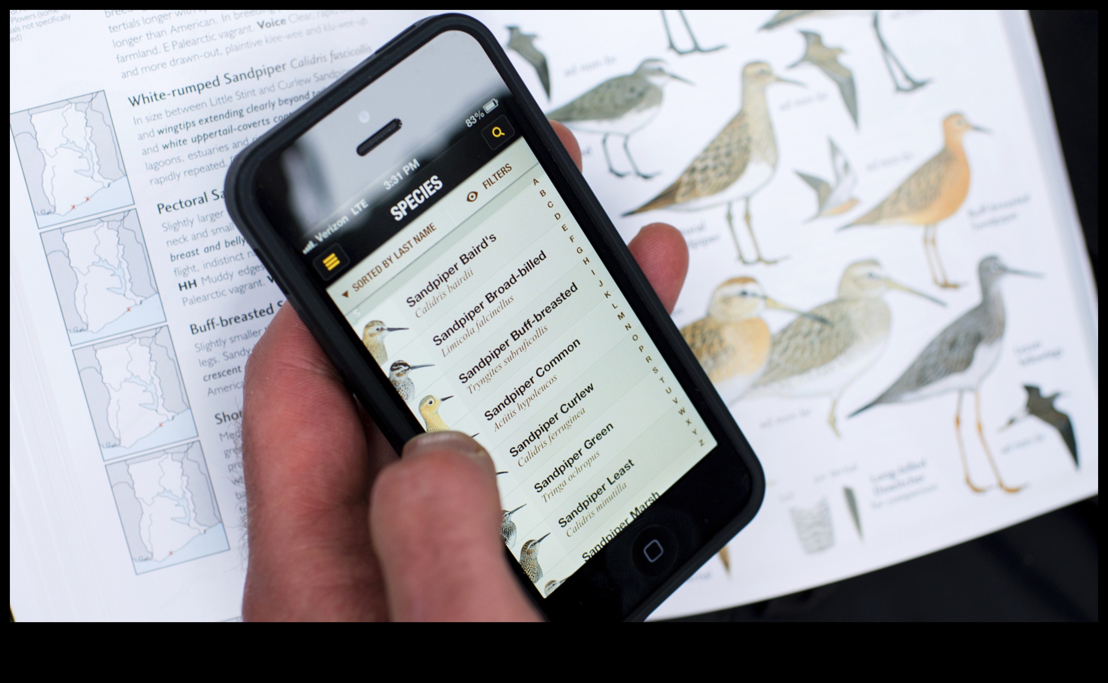Birding Apps Continued: Maximizing Your Bird Watching Experience