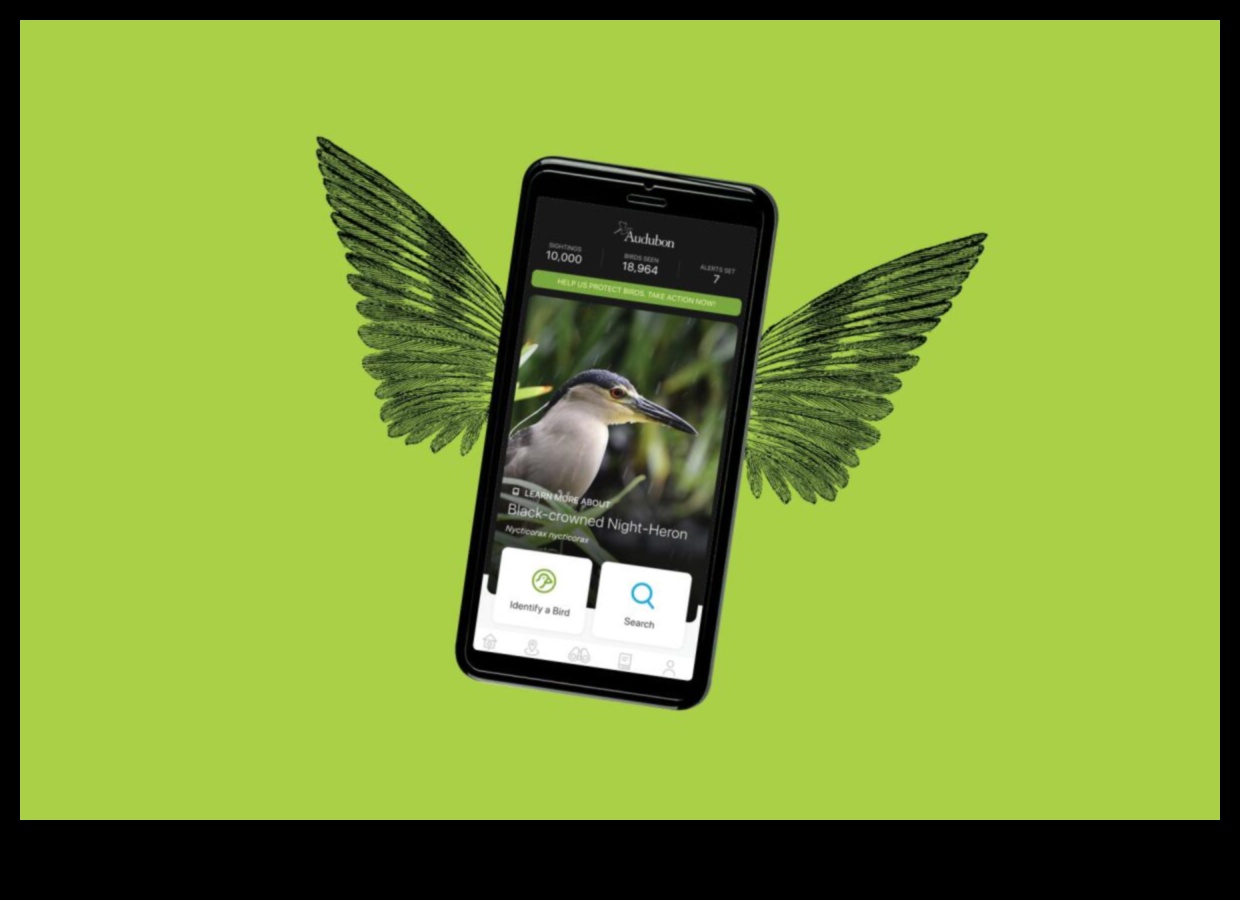 Birding Apps Continued: Maximizing Your Bird Watching Experience