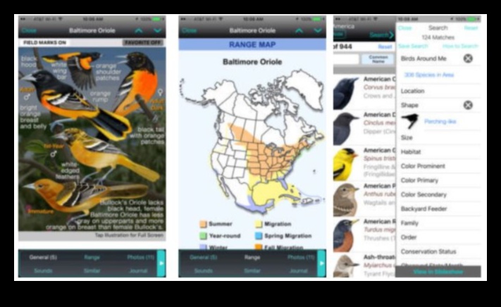 Birding Apps Continued: Maximizing Your Bird Watching Experience
