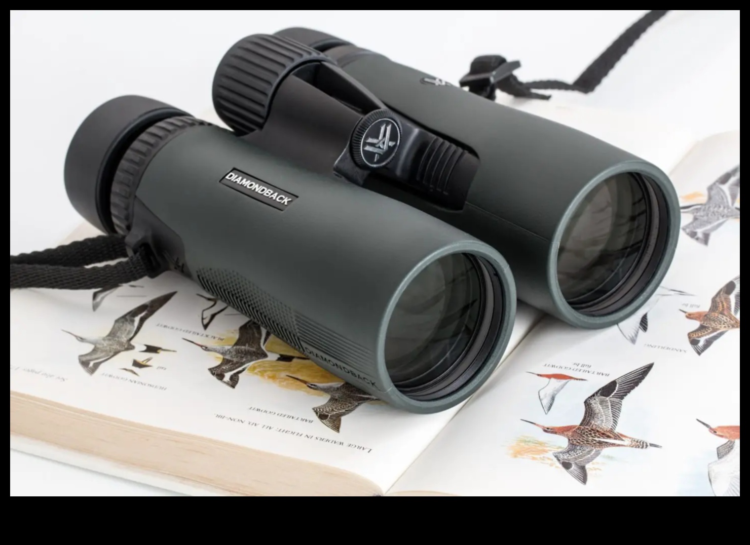 Birding Binoculars Review: Choosing the Perfect Pair for You