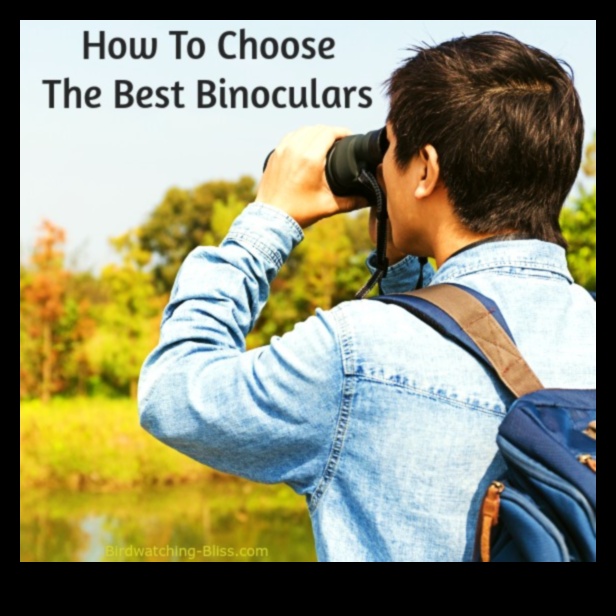 Birding Binoculars Review: Choosing the Perfect Pair for You