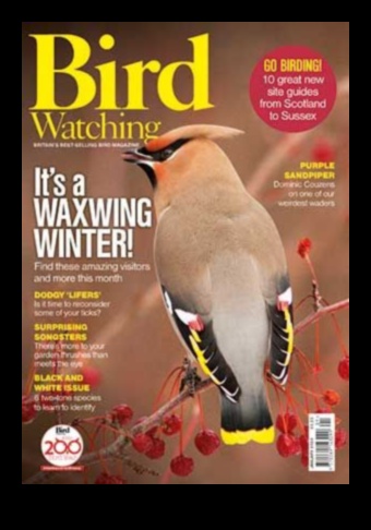 Birding Competitions: Friendly Challenges for Avid Bird Watchers