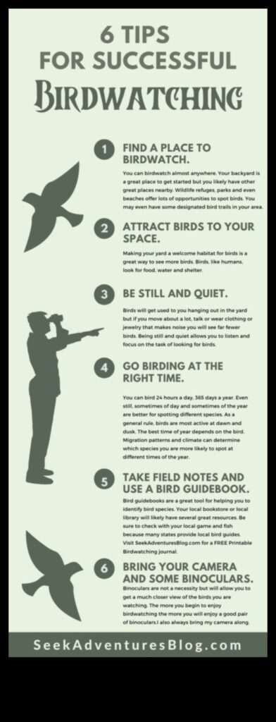 Birding Hacks Tips and Tricks for an Enhanced Bird Watching Experience 1