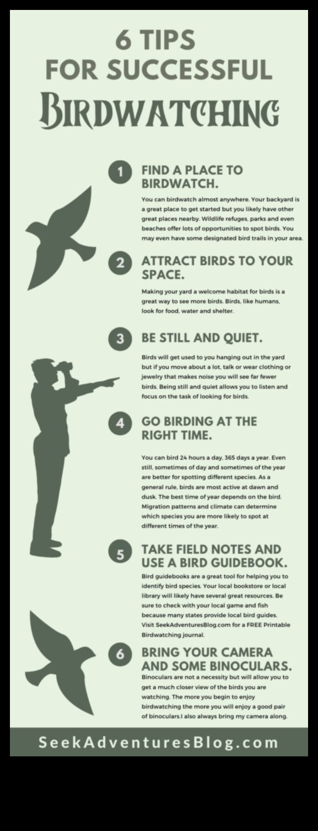 Birding Hacks: Tips and Tricks for an Enhanced Bird Watching Experience