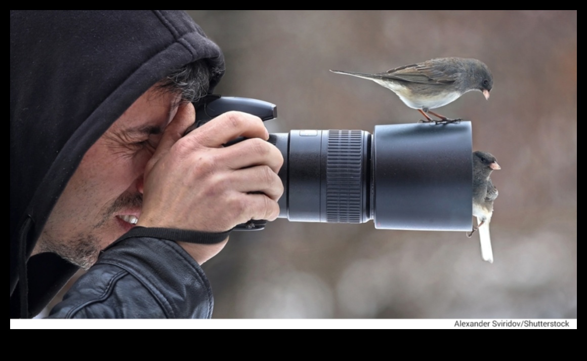 Birding Hacks: Tips and Tricks for an Enhanced Bird Watching Experience