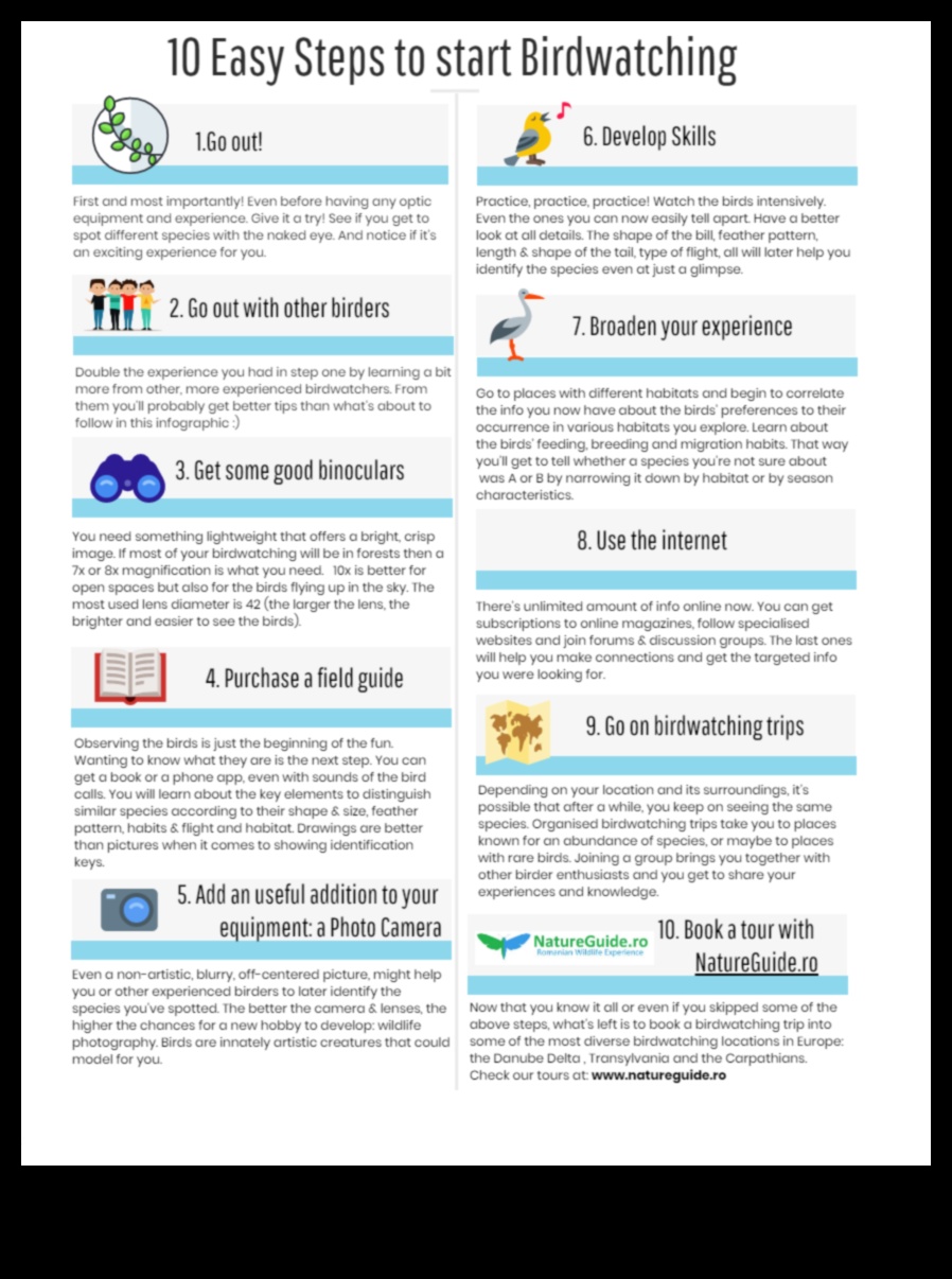 Birding Hacks: Tips and Tricks for an Enhanced Bird Watching Experience