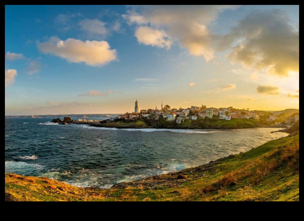 Birding Hotspots: Top Locations for Bird Enthusiasts