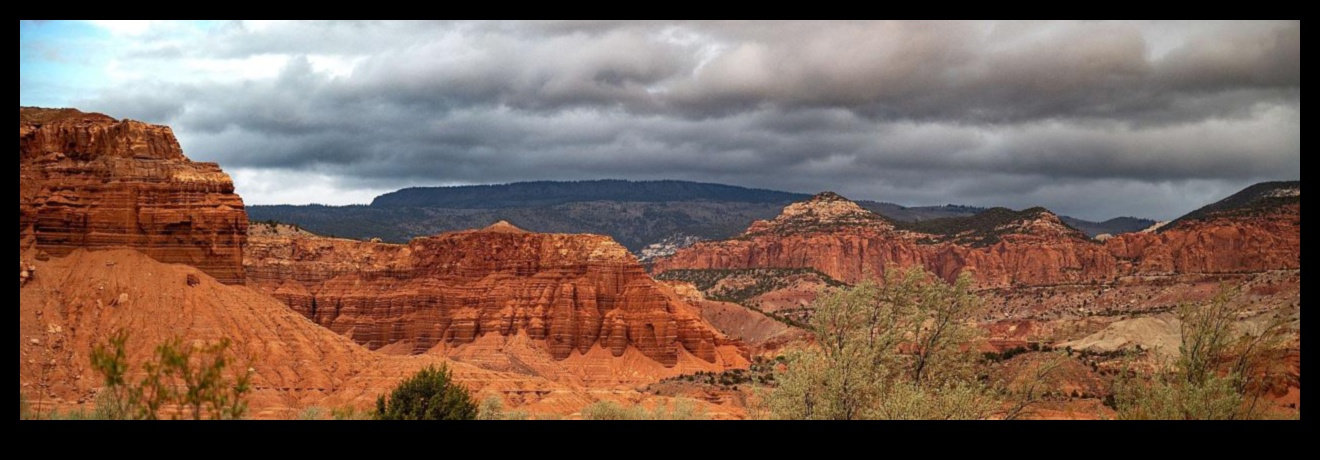 Birding Road Trips Continued: Exploring Remote Corners for Hidden Gems