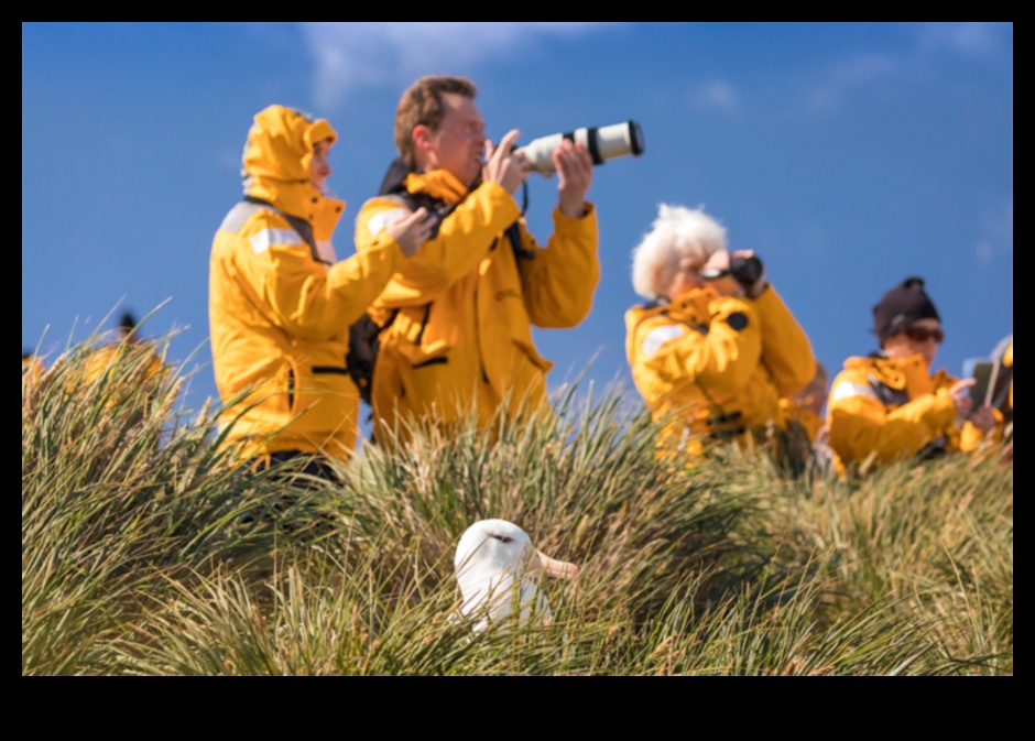 Birding Road Trips Continued: Exploring Remote Corners for Hidden Gems