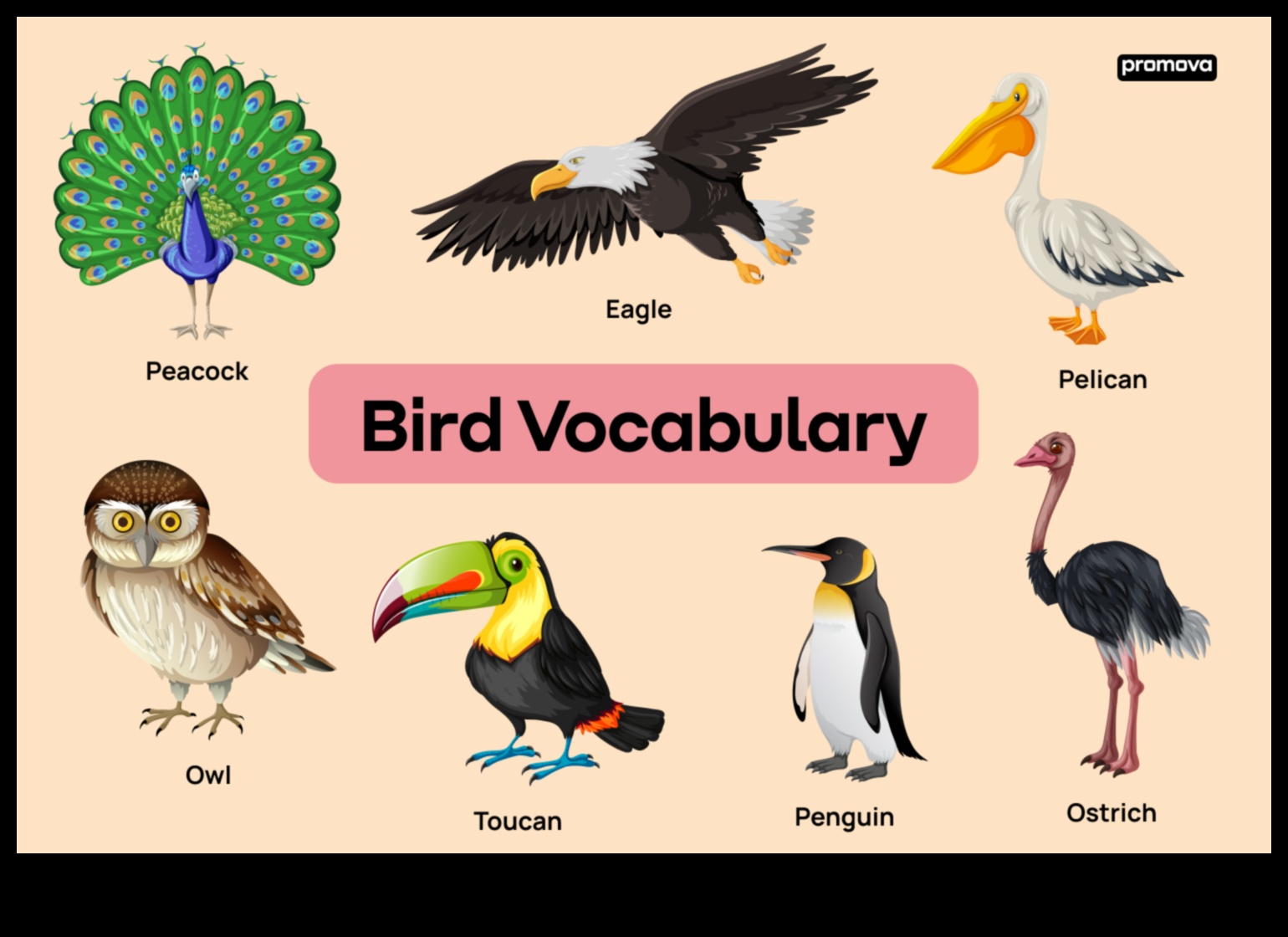 Birding Road Trips: Exploring Diverse Habitats for Varied Species