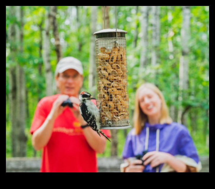 Birding Road Trips: Exploring Diverse Habitats for Varied Species