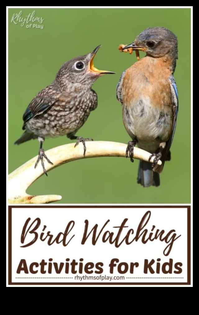 Birding for Families: Introducing Children to the Joy of Bird Watching